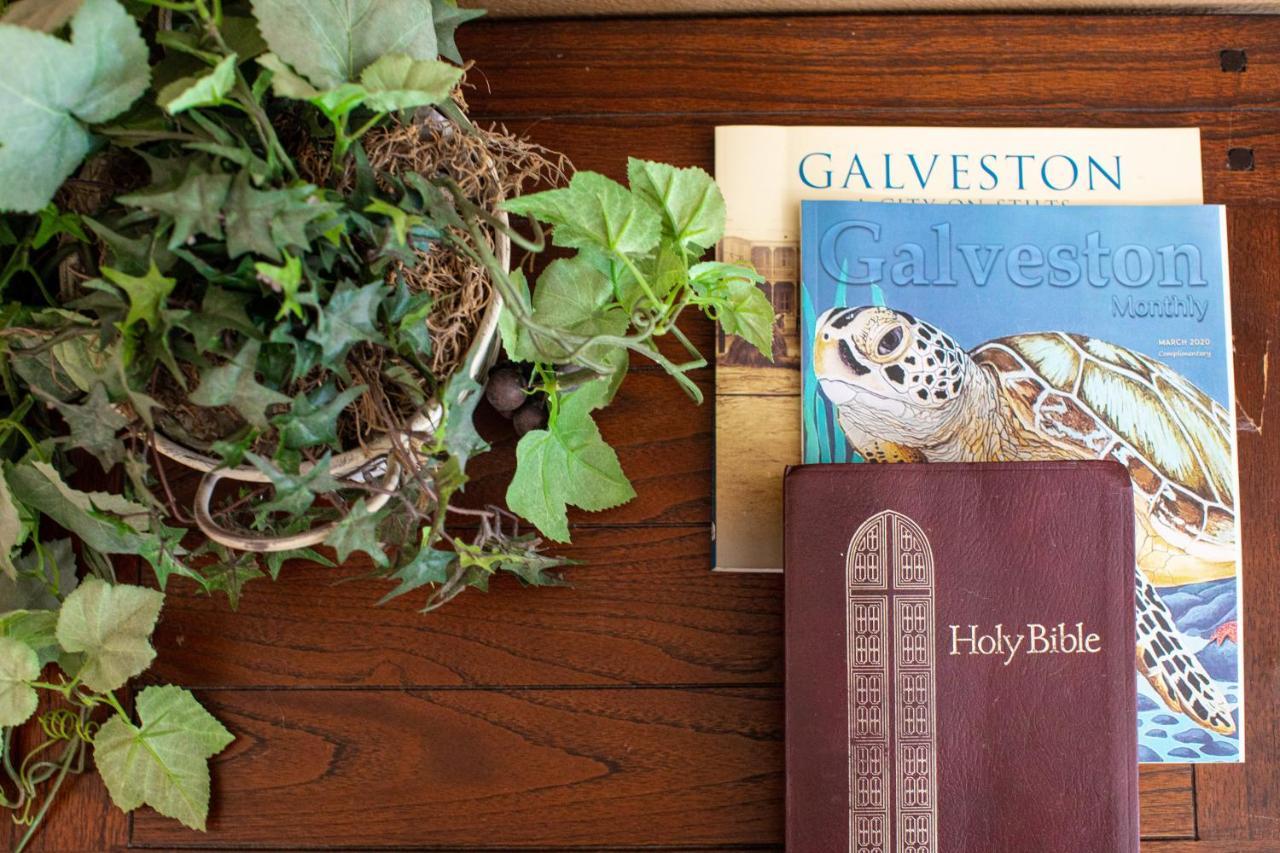 Relax At Our Beach Haven - Pet Friendly Galveston Zewnętrze zdjęcie